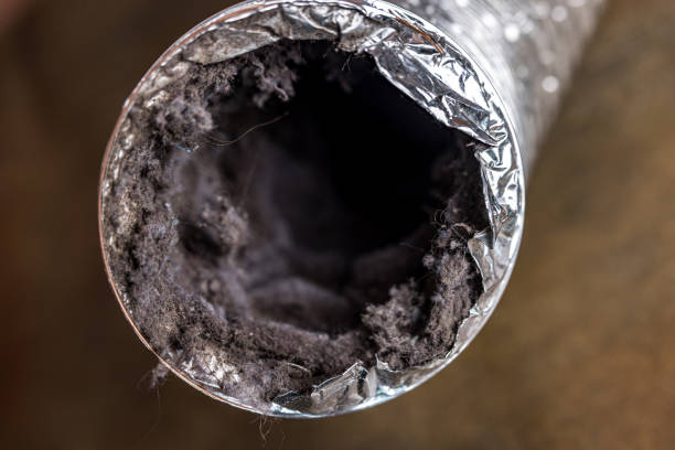 Best Commercial Air Duct Cleaning  in Ashland, VA