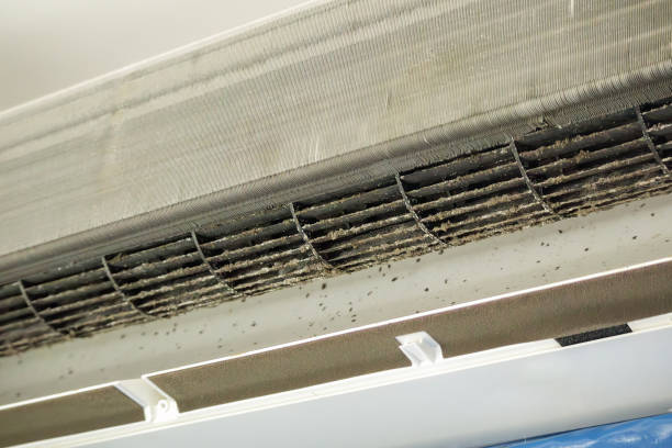 Best Ductwork Cleaning Services  in Ashland, VA